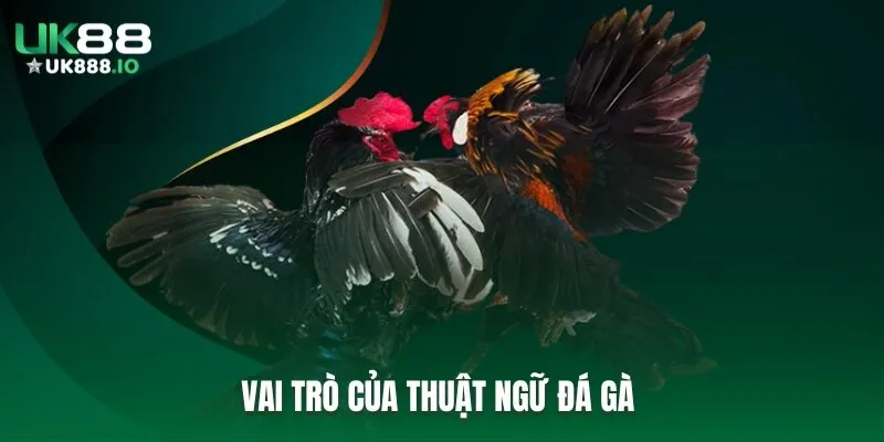 Vai trò của thuật ngữ đá gà